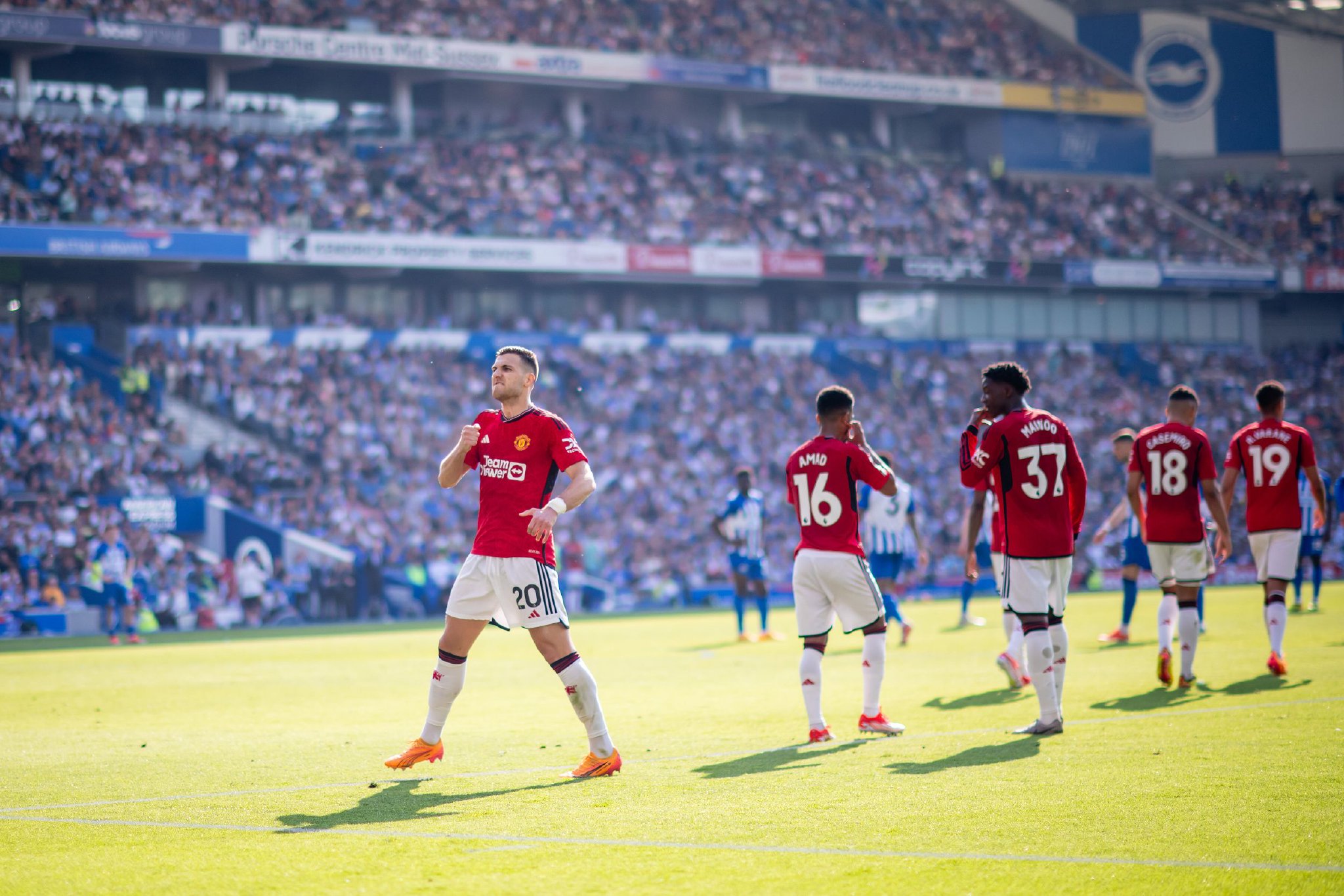 生命与情感 生命与情感